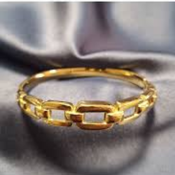 Aurelia Link Bangle Bracelet